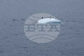 Национална антарктическа експедиция - Остров Ливингстън - Военен научноизследователски кораб „Св. Св. Кирил и Методий“ - НИК 421