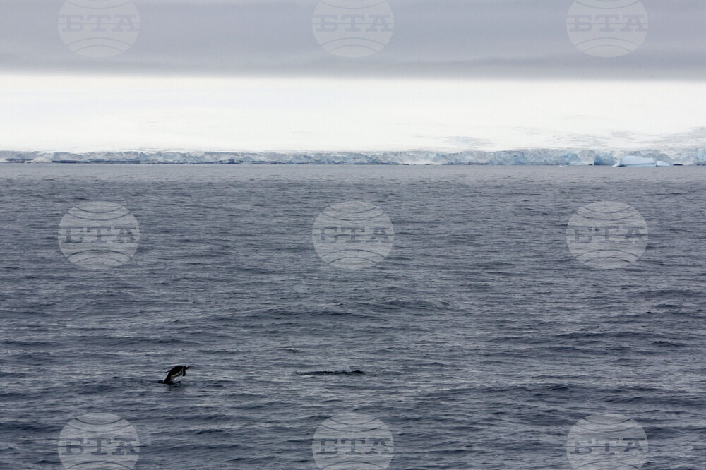 Национална антарктическа експедиция - Остров Ливингстън - Военен научноизследователски кораб „Св. Св. Кирил и Методий“ - НИК 421