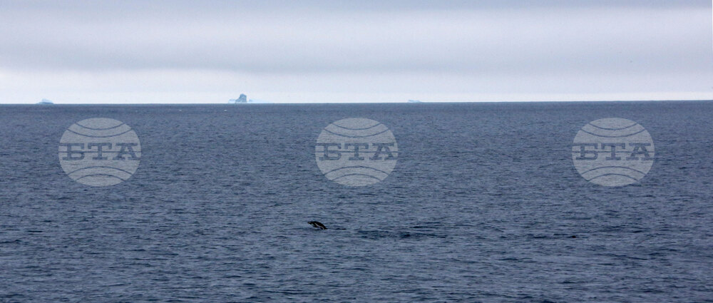 Национална антарктическа експедиция - Остров Ливингстън - Военен научноизследователски кораб „Св. Св. Кирил и Методий“ - НИК 421