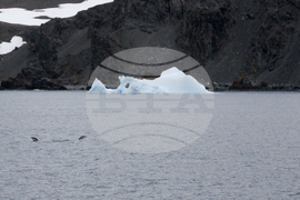 Национална антарктическа експедиция - Остров Ливингстън - Военен научноизследователски кораб „Св. Св. Кирил и Методий“ - НИК 421