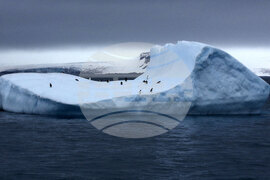 Национална антарктическа експедиция - Остров Ливингстън - Военен научноизследователски кораб „Св. Св. Кирил и Методий“ - НИК 421