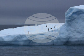 Национална антарктическа експедиция - Остров Ливингстън - Военен научноизследователски кораб „Св. Св. Кирил и Методий“ - НИК 421