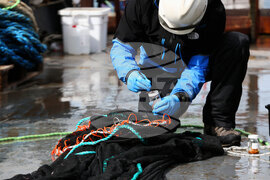 Национална антарктическа експедиция - Остров Ливингстън - Военен научноизследователски кораб „Св. Св. Кирил и Методий“ - НИК 421