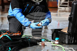 Национална антарктическа експедиция - Остров Ливингстън - Военен научноизследователски кораб „Св. Св. Кирил и Методий“ - НИК 421