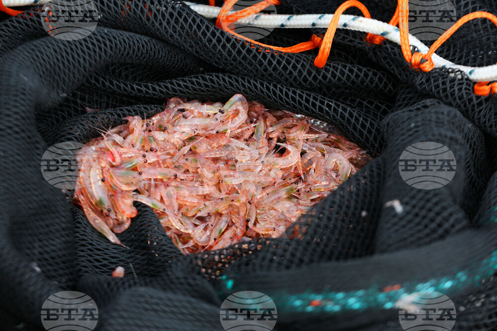 Национална антарктическа експедиция - Остров Ливингстън - Военен научноизследователски кораб „Св. Св. Кирил и Методий“ - НИК 421