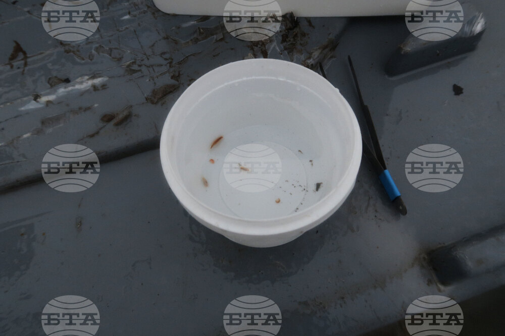 Национална антарктическа експедиция - Остров Ливингстън - Военен научноизследователски кораб „Св. Св. Кирил и Методий“ - НИК 421