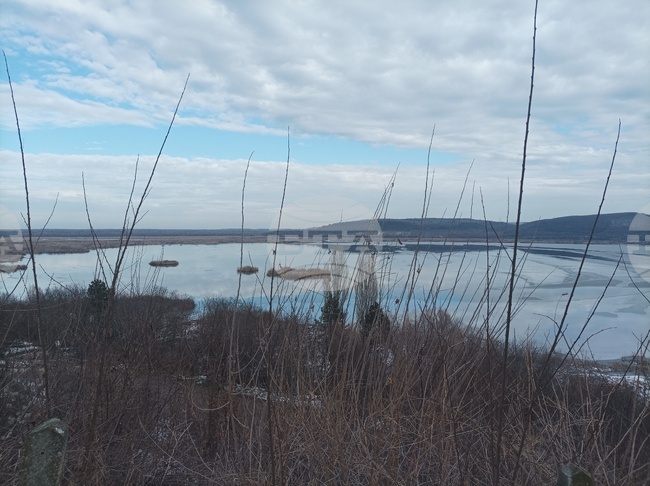 Обявиха конкурс за лого на Биосферния парк „Сребърна“