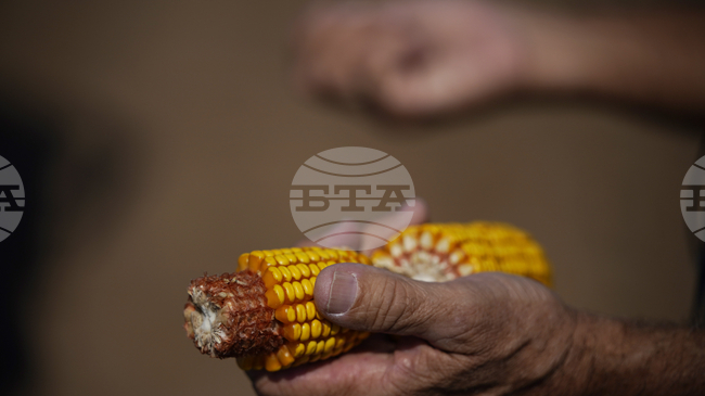 Стратегически резерви от основни стоки на Египет са достатъчни за шест месеца, заяви премиерът Мадбули