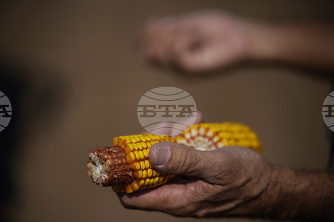 Стратегически резерви от основни стоки на Египет са достатъчни за шест месеца, заяви премиерът Мадбули