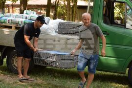 Благоевград - Парк Бачиново - патици