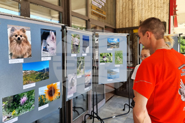 Разград - фотоконкурс - „Живата природа”