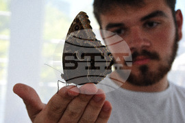 Бургас - изложба на живи тропически пеперуди