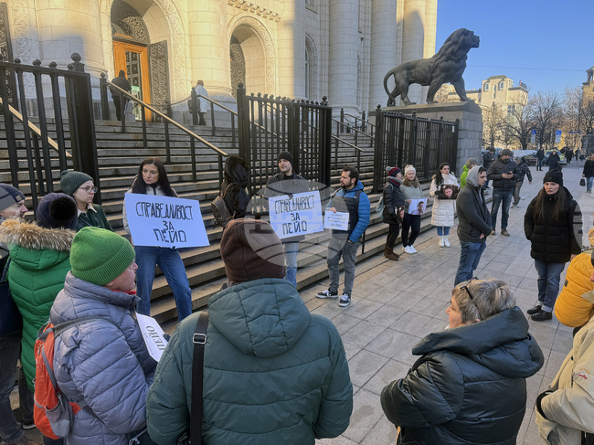 Съдебна палата - близки на убития Пейо Пеев