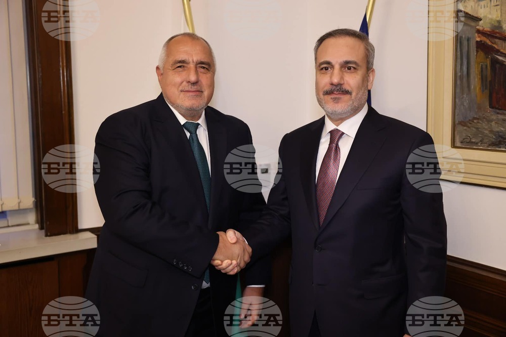 GERB Leader Borissov Confers with Turkish Foreign Minister Fidan
