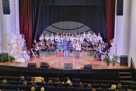 Петрич - концерт