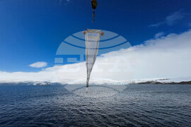 Национална антарктическа експедиция - остров Ливингстън - Елиза Узунова - изследвания