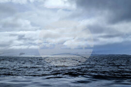 Национална антарктическа експедиция - остров Ливингстън - южен залив - изглед