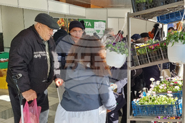 Добрич - Борса за семена и посадъчен материал