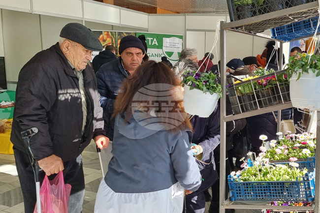 Добрич - Борса за семена и посадъчен материал