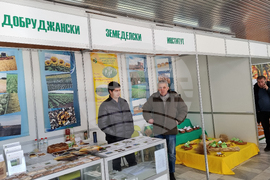 Добрич - Борса за семена и посадъчен материал