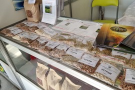 Добрич - Борса за семена и посадъчен материал