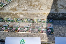 Добрич - Борса за семена и посадъчен материал