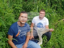 Снимка: Българско дружество за защита на птиците