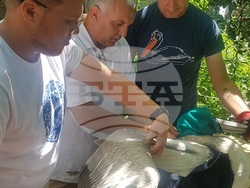 Снимка: Българско дружество за защита на птиците