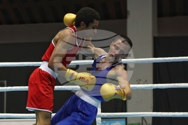 Бокс - Турнир Странджа - Шон Торес - Aлиса Шарифов