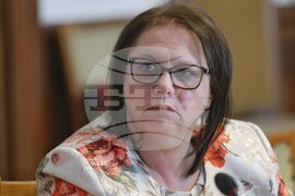 Парламент - Комисия по въпросите на децата, семейството, младежта и спорта - заседание