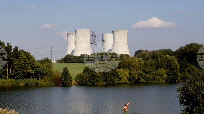 Четири реактора на атомна електроцентрала в Северна Франция спряха работа заради нашествие на медузи