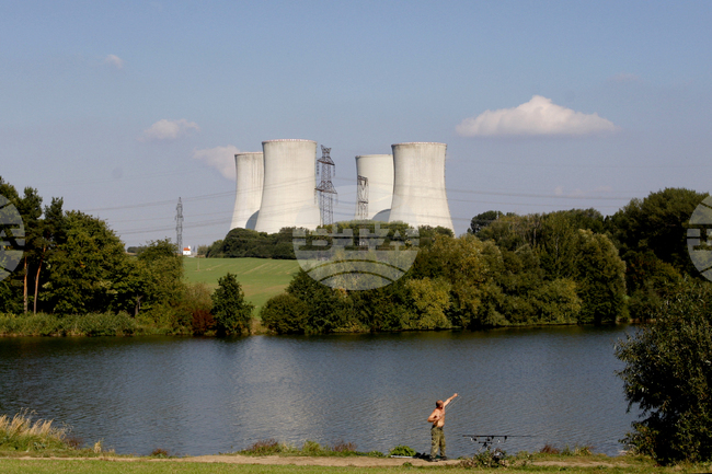 Четири реактора на атомна електроцентрала в Северна Франция спряха работа заради нашествие на медузи