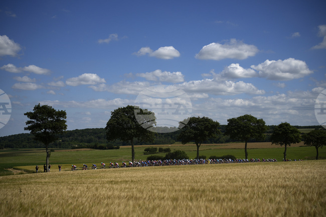 Очакваната реколта от пшеница във Франция през 2025 г. е 32,6 милиона тона