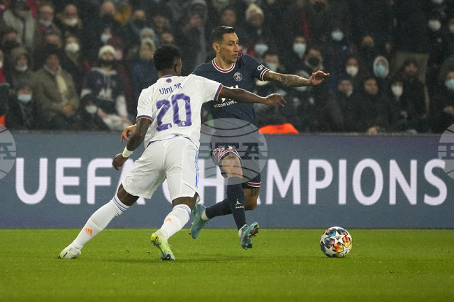 Снежнобелият котарак Ахил от "Ермитажа" ще бъде официален оракул на финала на Шампионската лига