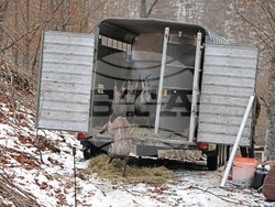 Снимка: Южноцентрално държавно предприятие – Смолян