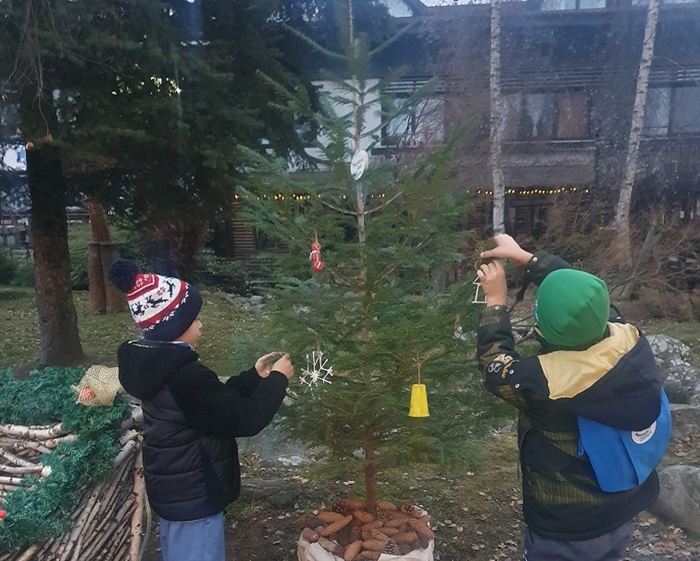 Община Банско: Кампания „Коледна елха“