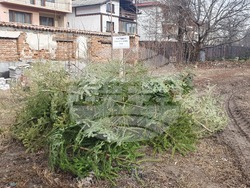 Снимка: Община Банско