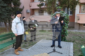 Асеновград - Трифон Зарезан