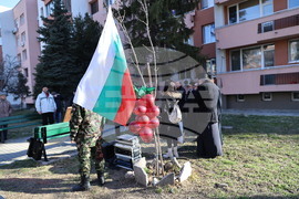 Асеновград - Трифон Зарезан