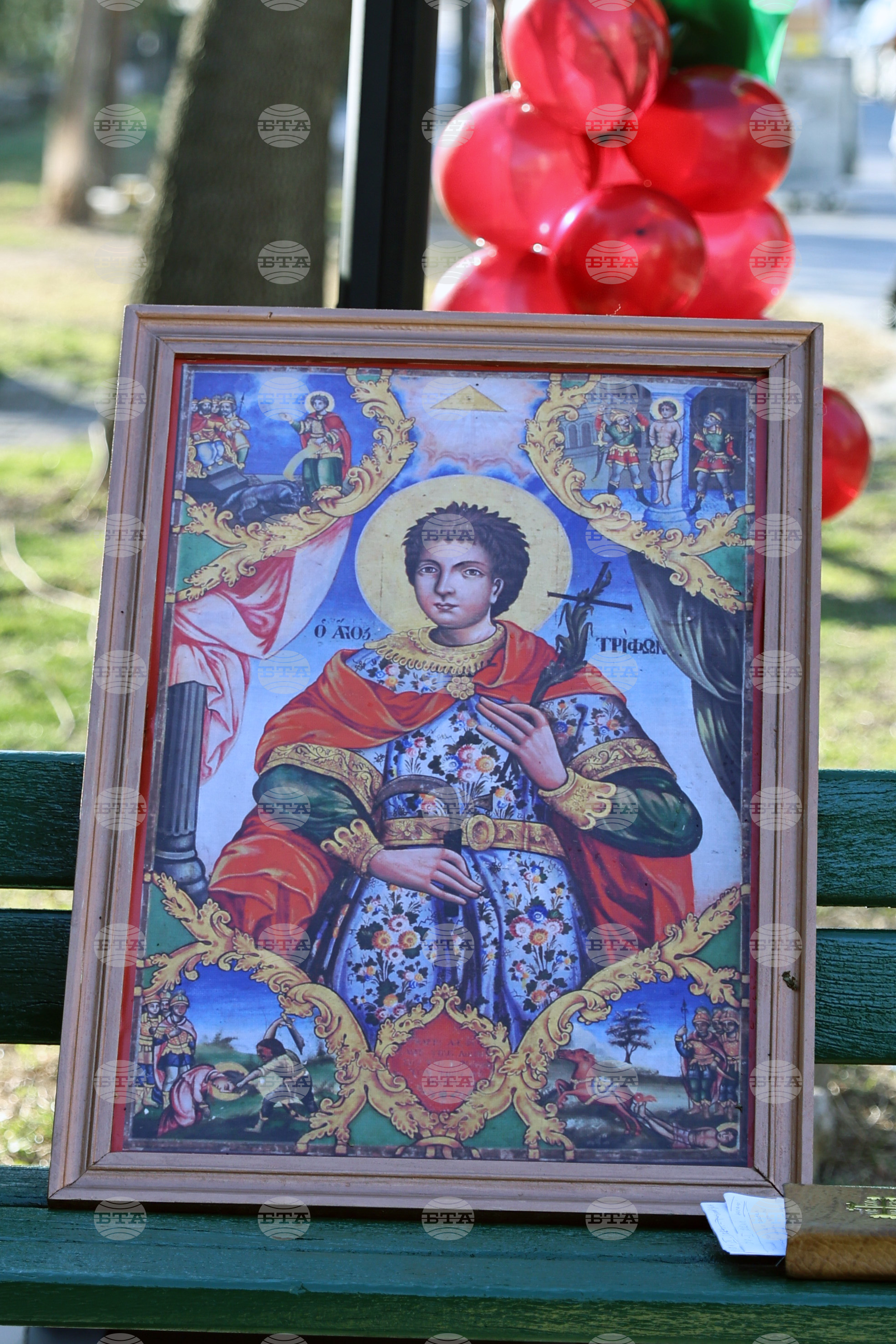 Асеновград - Трифон Зарезан