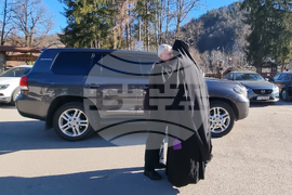 Троянски манастир - зарязване на лози