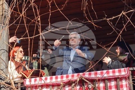 Троянски манастир - зарязване на лози