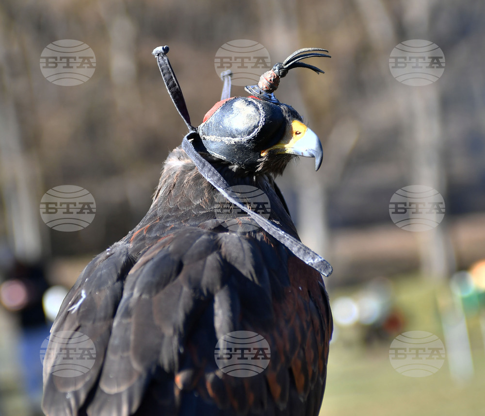 Разград - "Соколарска надпревара"