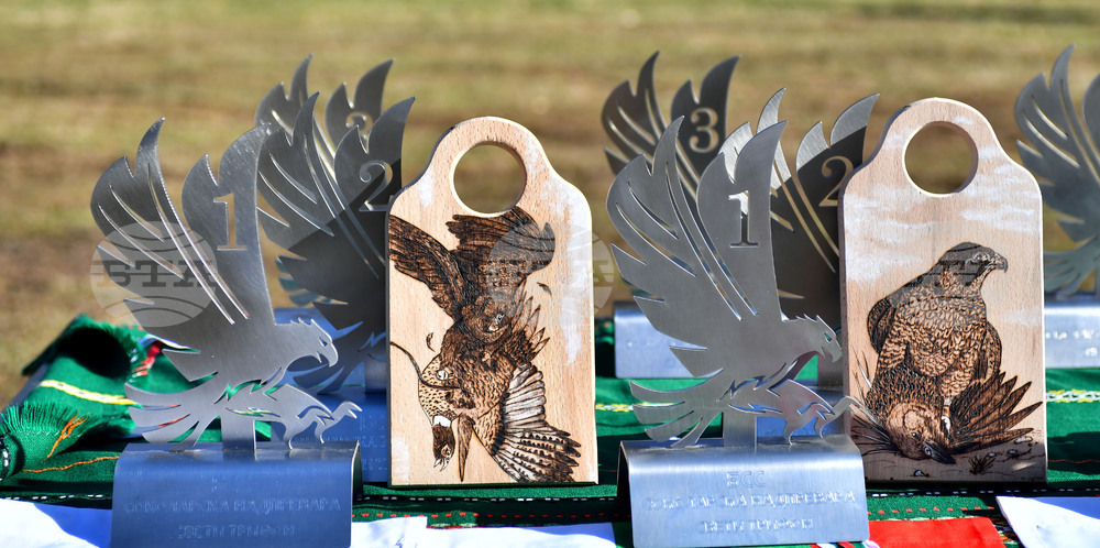 Разград - "Соколарска надпревара"