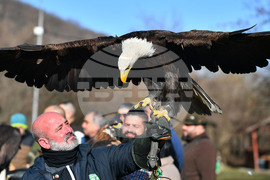 Разград - "Соколарска надпревара"
