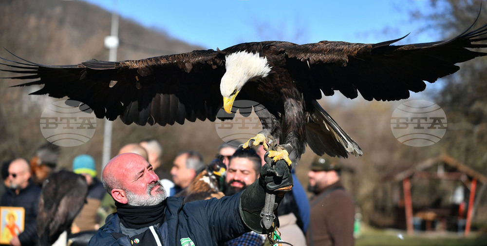 Разград - "Соколарска надпревара"