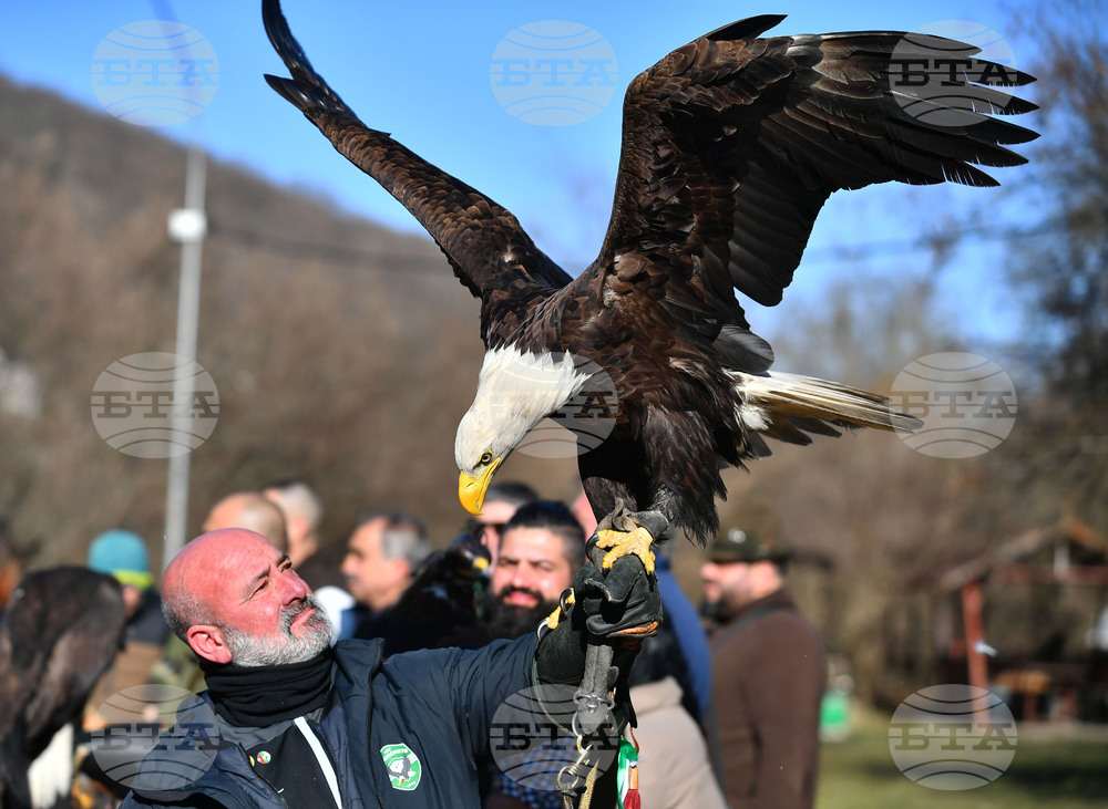 Разград - "Соколарска надпревара"