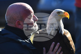 Разград - "Соколарска надпревара"