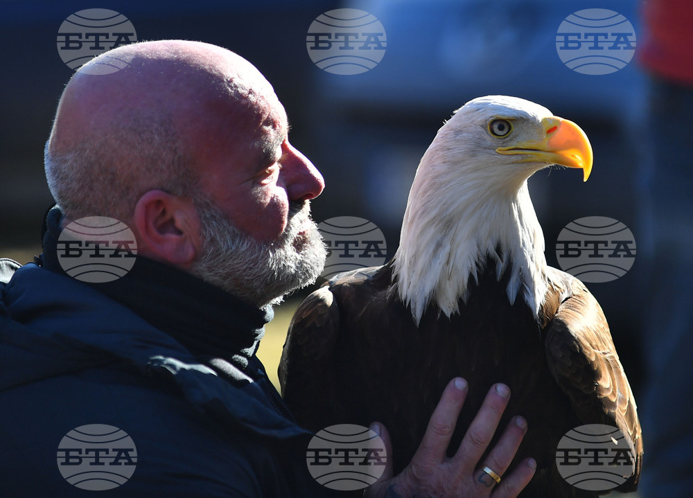 Разград - "Соколарска надпревара"