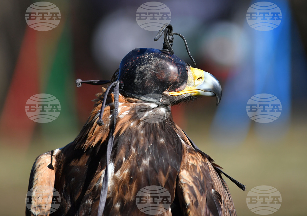 Разград - "Соколарска надпревара"